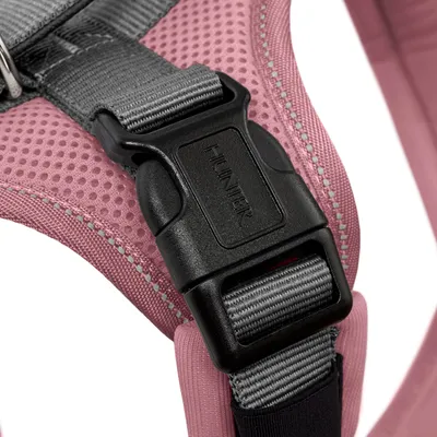 Nahaufnahme eines rosa Geschirrs mit grauem Gurt und schwarzer Kunststoffschnalle, geprägt mit dem Schriftzug 'Hunter'.