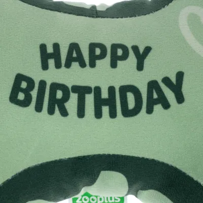 Zöld párna „Happy Birthday” felirattal, alsó szélén látható Zooplus-logóval.