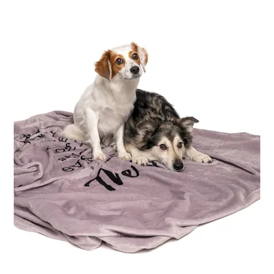 TIAKI Hundedecke „Home“