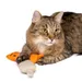 zooplus Basics Katzenspielzeug-Set Kitty mit Katzenminze