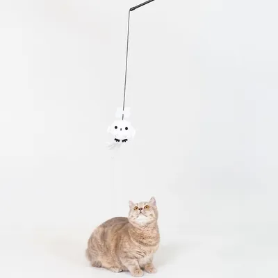 Spielzeug für Katzen: weiße Eule an einer schwarzen Angel, Katze schaut nach oben. Geeignet zur Unterhaltung und Bewegung von Katzen.