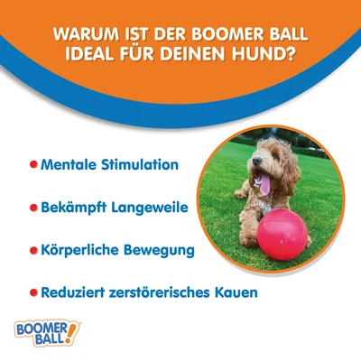 Miért ideális a Boomer Ball kutyádnak? Mentális stimuláció, unalom elleni, fizikai mozgás, csökkenti a rágást. Kép egy kutyáról piros labdával.