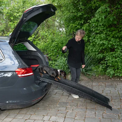 Kutya fekete rámpát használ, hogy kiszálljon egy autó csomagtartójából. Alkalmas háziállatok biztonságos be- és kiszállásához.