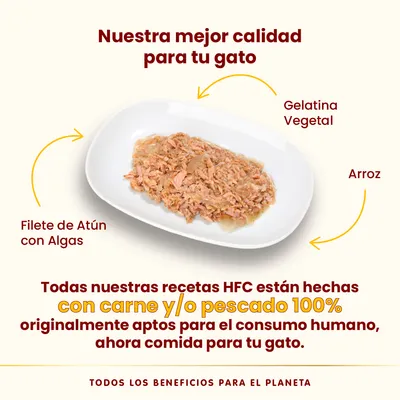 Filete de atún con algas, gelatina vegetal y arroz en plato. Texto: recetas HFC hechas con carne y/o pescado 100% aptos para consumo humano, ahora comida para tu gato.