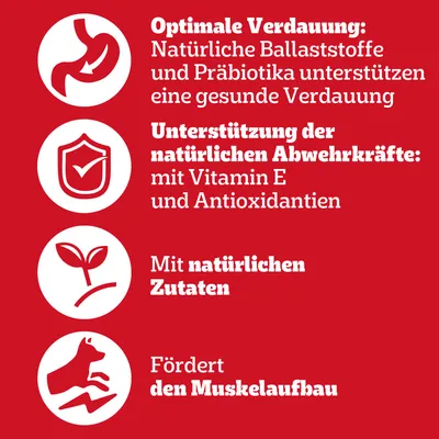 Pedigree Adult Frischebeutel Protein Plus in Gelee
