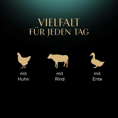 Vielfalt für jeden Tag: mit Huhn, mit Rind, mit Ente.