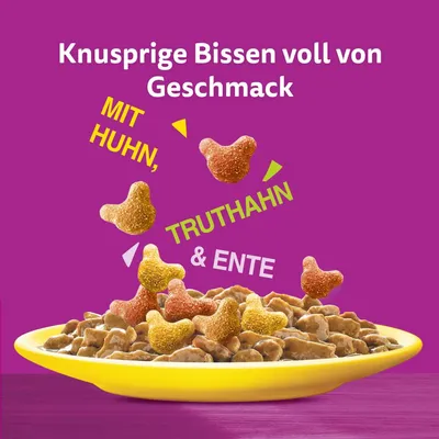 Knusprige Bissen voll von Geschmack. Mit Huhn, Truthahn und Ente.
