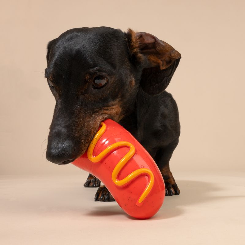 TIAKI ultra močna žvečilna igrača Hotdog
