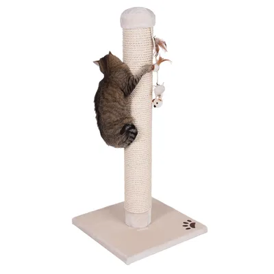 Árbol rascador con base beige, poste de sisal y juguete colgante. Gato trepa por el poste.