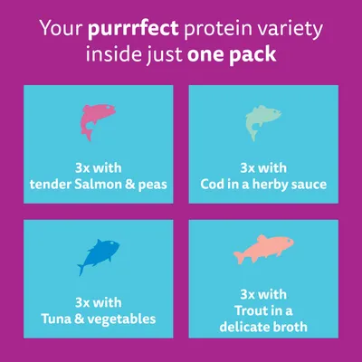 Whiskas 1+ Aromatic Selection Seafood Delight in Gravy