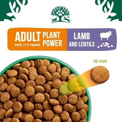 ADULT PLANT POWER DOG 1-7 YEARS, LAMB AND LENTILS, Kibble size 15 mm shown.
