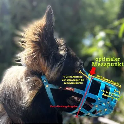 COLORI® Herder muilkorf L, neon oranje