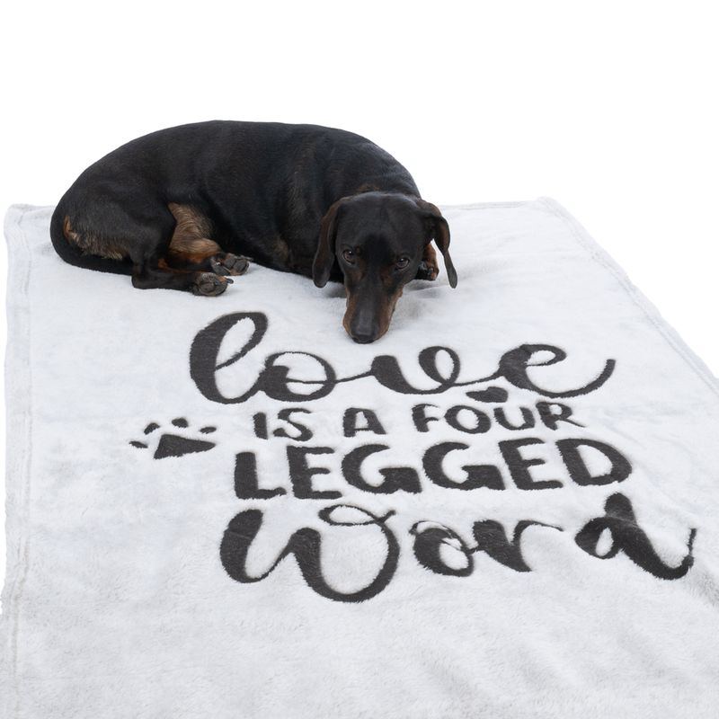 Koira makaa valkoisella peitteellä, jossa on musta teksti 'Love is a four legged word' ja tassunjälkikuvio.