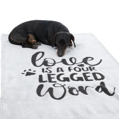 Kutya fehér takarón fekve, fekete 'Love is a four legged word' felirattal és mancsnyom-mintával.