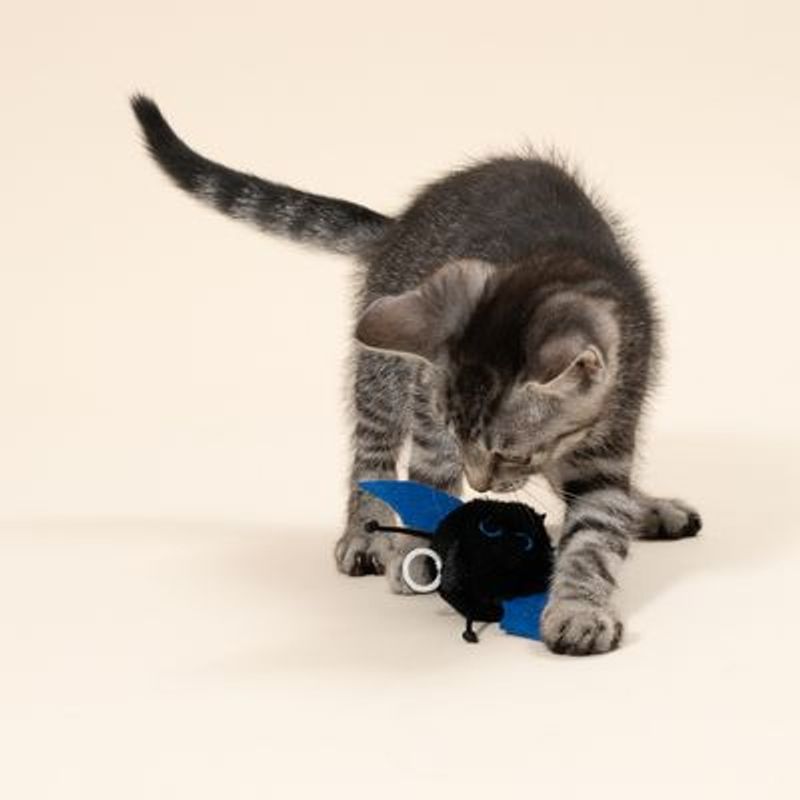 TIAKI kattenspeeltje vibrerende knuppel