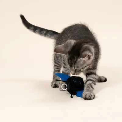 TIAKI kattenspeeltje vibrerende knuppel