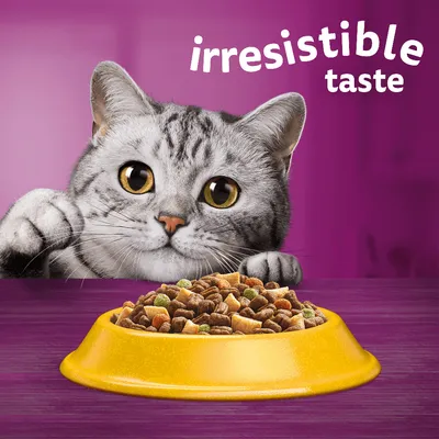 Cat looking at a bowl of dry food with the words 'irresistible taste' shown above, highlighting product appeal.
