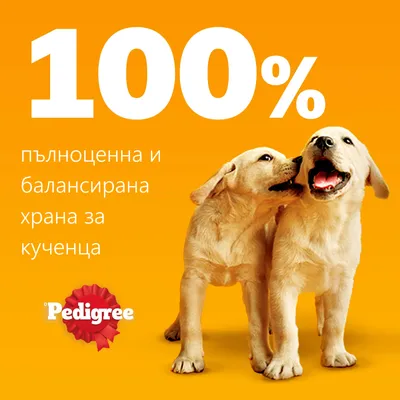 100% пълноценна и балансирана храна за кученца. Pedigree.