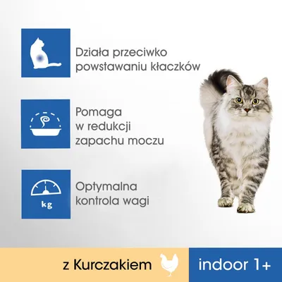 Działa przeciwko powstawaniu kłaczków, pomaga w redukcji zapachu moczu, optymalna kontrola wagi, z kurczakiem, indoor 1+; kot na zdjęciu.