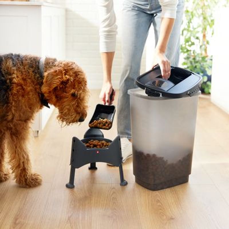 Rotho MyPet Cody Voercontainer