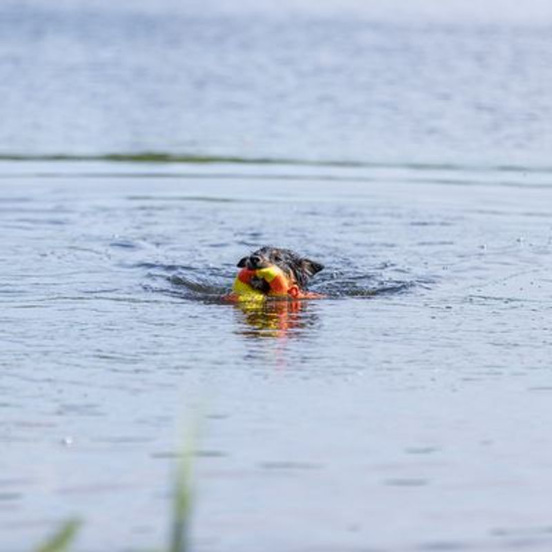 Trixie Aqua speelgoed eend aan een touw