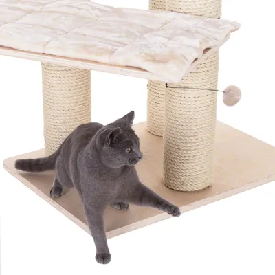 Szary kot przy drapaku z jasnego drewna, słupki owinięte sizalem, na górze miękka mata, zawieszona piłka do zabawy.