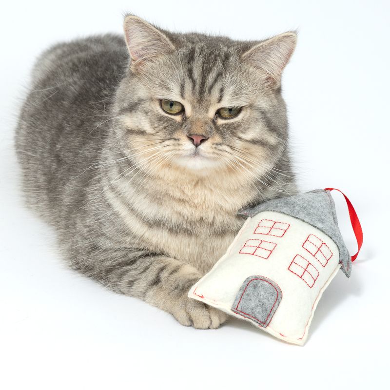 Graue Katze neben einem Spielzeug in Form eines Hauses aus Filz mit roten und grauen Akzenten.
