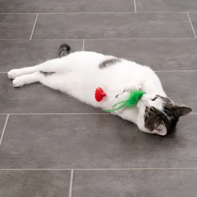 TIAKI Katzenspielzeug Weihnachtsbaum