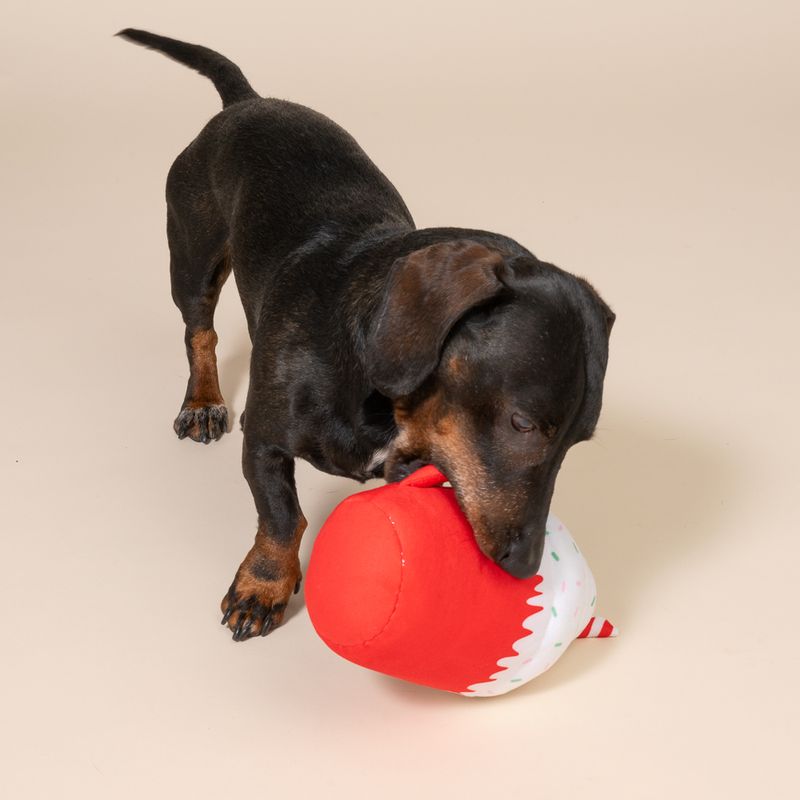 TIAKI Hundespielzeug "Puppermint Mocha"