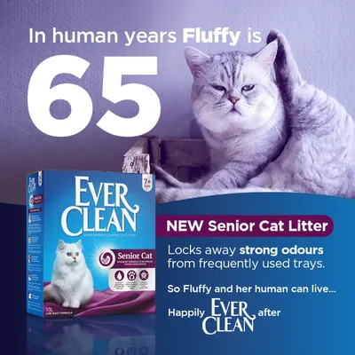 Ever Clean Senior Cat Litter for cats aged 7+ years. Locks away strong odours from frequently used trays. Text: In human years Fluffy is 65. New Senior Cat Litter.
