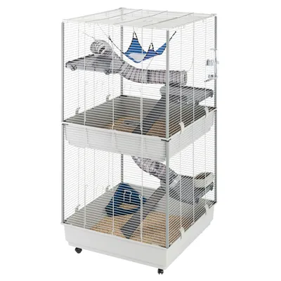 Grande cage à rongeurs en métal blanc avec plusieurs étages, rampes, tunnels transparents, hamac bleu et accessoires visibles, bac inférieur amovible et roulettes.