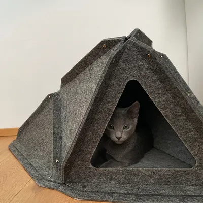 Graues Filz-Haus mit dreieckigem Eingang, innen eine Katze sichtbar. Geeignet als Rückzugsort oder Schlafplatz für Haustiere.
