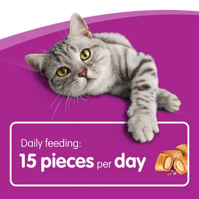 Οδηγία διατροφής στα αγγλικά: Daily feeding: 15 pieces per day. Εικόνα γάτας και λιχουδιών για γάτες.
