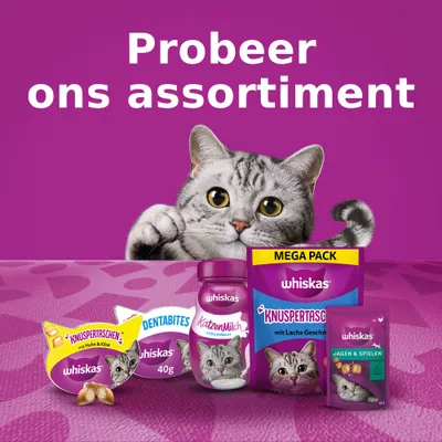 Probeer ons assortiment. Whiskas kattenproducten: Knuspertaschen, Dentabites 40g, KatzenMilch, Mega Pack Knuspertaschen met zalmsmaak, Jagen & Spelen snack.