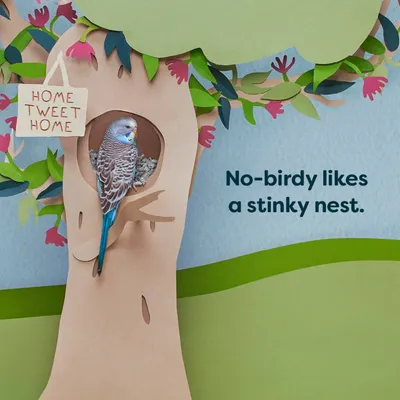 A bird in a nest with the text 'No-birdy likes a stinky nest' and a sign reading 'Home Tweet Home', highlighting the importance of keeping nests clean.
