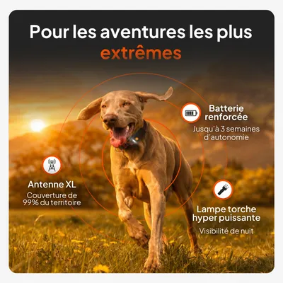 Antenne XL avec une couverture de 99 %, batterie renforcée offrant jusqu'à 3 semaines d'autonomie, lampe torche très puissante pour la vision nocturne. Idéale pour les aventures extrêmes. Antenne XL avec une couverture de 99 %, batterie renforcée offrant jusqu'à 3 semaines d'autonomie, lampe torche très puissante pour la vision nocturne. Idéale pour les aventures extrêmes.