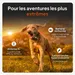 Weenect GPS Tracker XT pour chien - collier inclus
