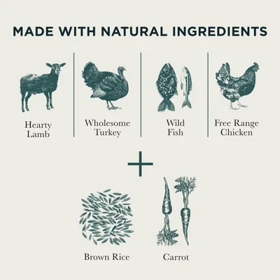 Burns Variety Box Wet Dog Food 12 x 150g - 12 x 150g Burns Variety Box Wet Dog Food 12 x 150g - 12 x 150g