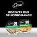 Cesar Fresh Bowls in Gravy Mixed Selection
