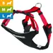 Harnais NEEWA Running Harness
