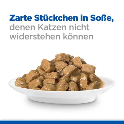 Zarte Stückchen in Sosse, denen Katzen nicht widerstehen können. Abgebildet: braune Fleischstücke in Sosse auf weissem Teller.