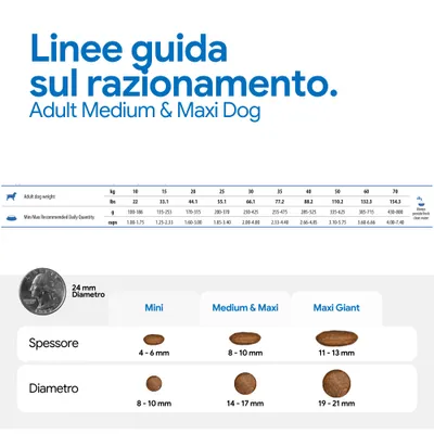 Razioni consigliate per adult medium & maxi dog: quantità giornaliera in base al peso in g e cup, confronto delle dimensioni delle crocchette mini, medium & maxi, maxi giant con diametro e spessore.