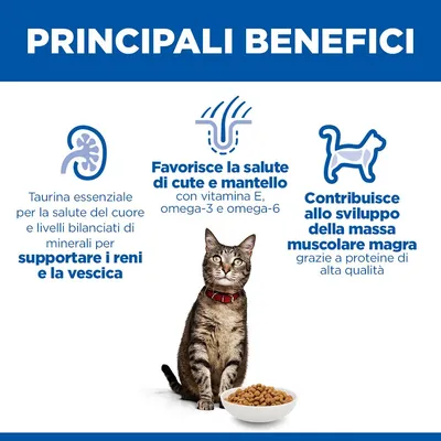 Hill's Science Plan Adult 1-6 Pollo