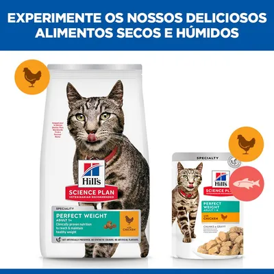 Hill's Science Plan Perfect Weight Adult 1+ frango ração para gatos