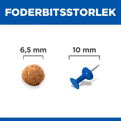Rent och färskt dricksvatten bör alltid finnas tillgängligt.