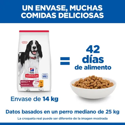Hill's Science Plan Adult 1-6 Medium con pollo