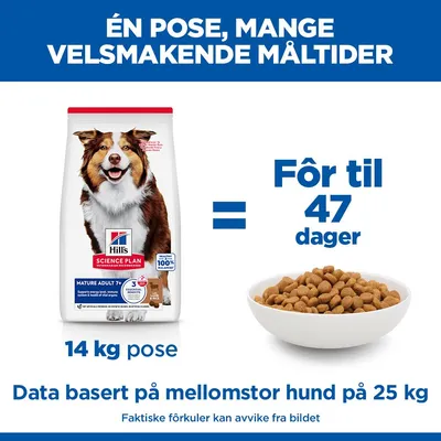 Hill's Science Plan Mature Adult 7+ Medium med lam & ris