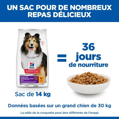 Hill's Science Plan Sensitive Stomach & Skin, sac de 14 kg suffit pour 36 jours d'alimentation pour un grand chien de 30 kg. Les indications sont basées sur la portion illustrée.