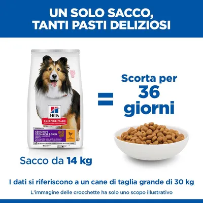 Hill's Science Plan Sensitive Stomach & Skin Adult 1+ Medium con Pollo