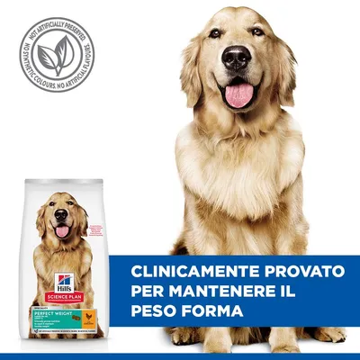 Hill's Science Plan Perfect Weight Adult 1+ Large con Pollo